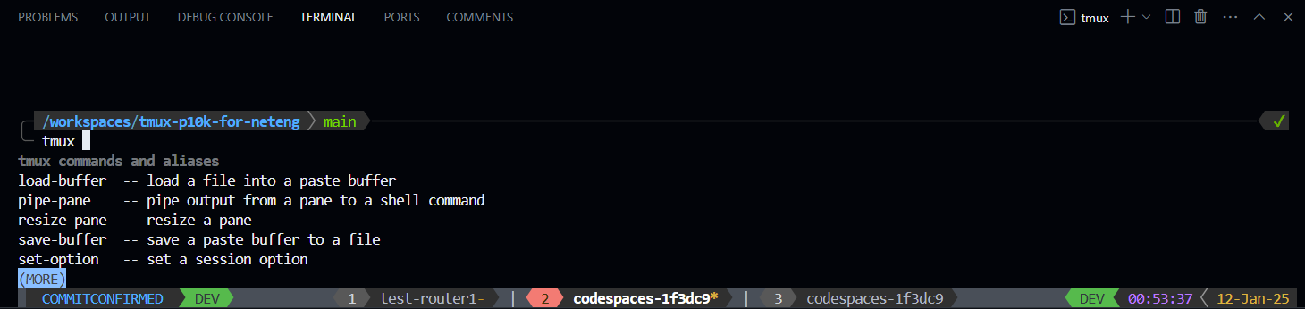 Codespaces terminal window